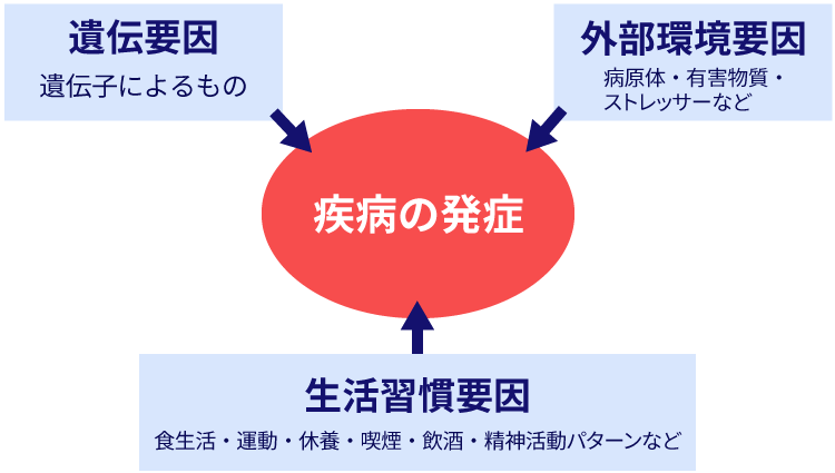 生活習慣に着目した疾病対策の基本的方向性についてのイメージ画像